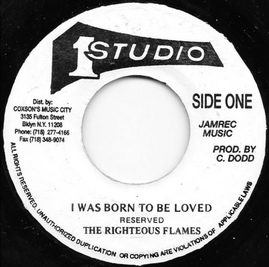 The Righteous Flames – I Was Born To Be Loved