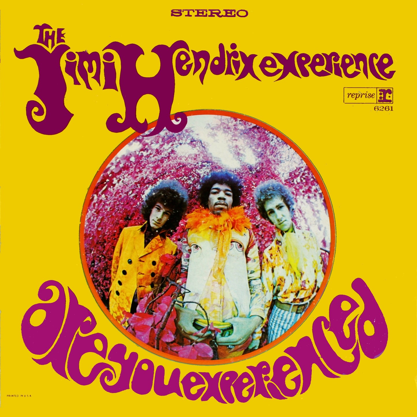 The Jimi Hendrix Experience ‎– Are You Experienced