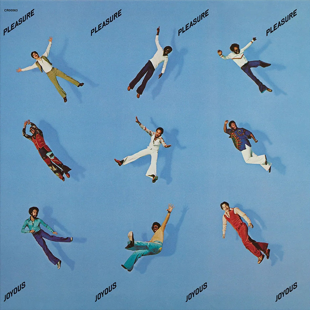 Pleasure – Joyous